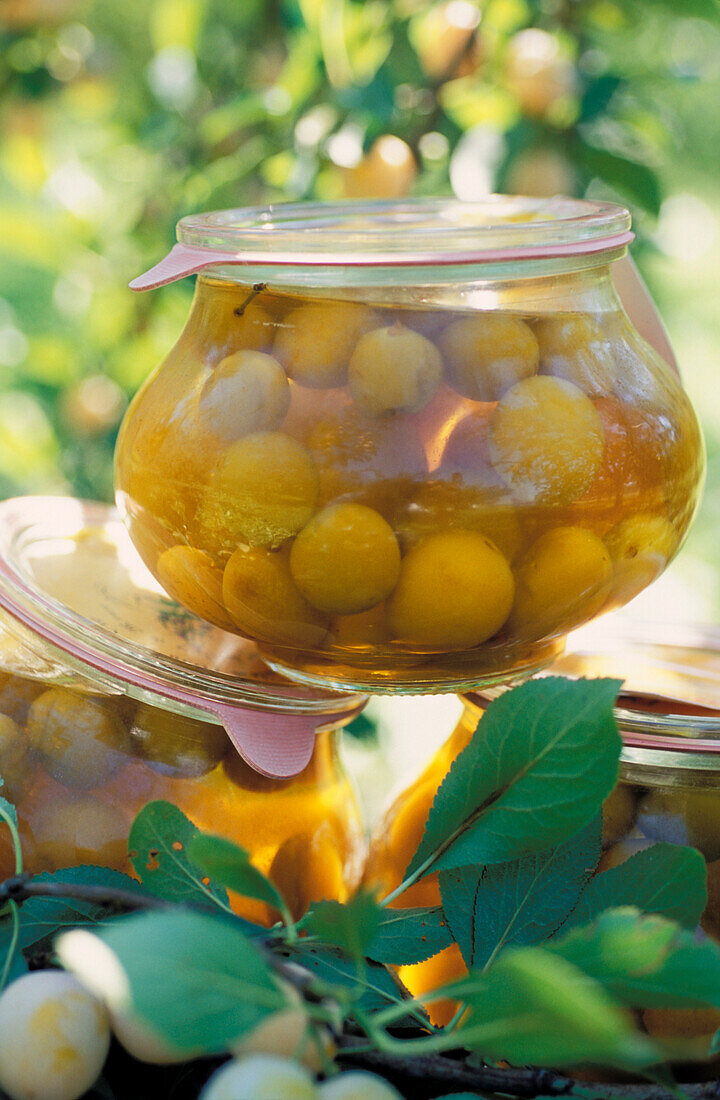 mirabelle plum syrup