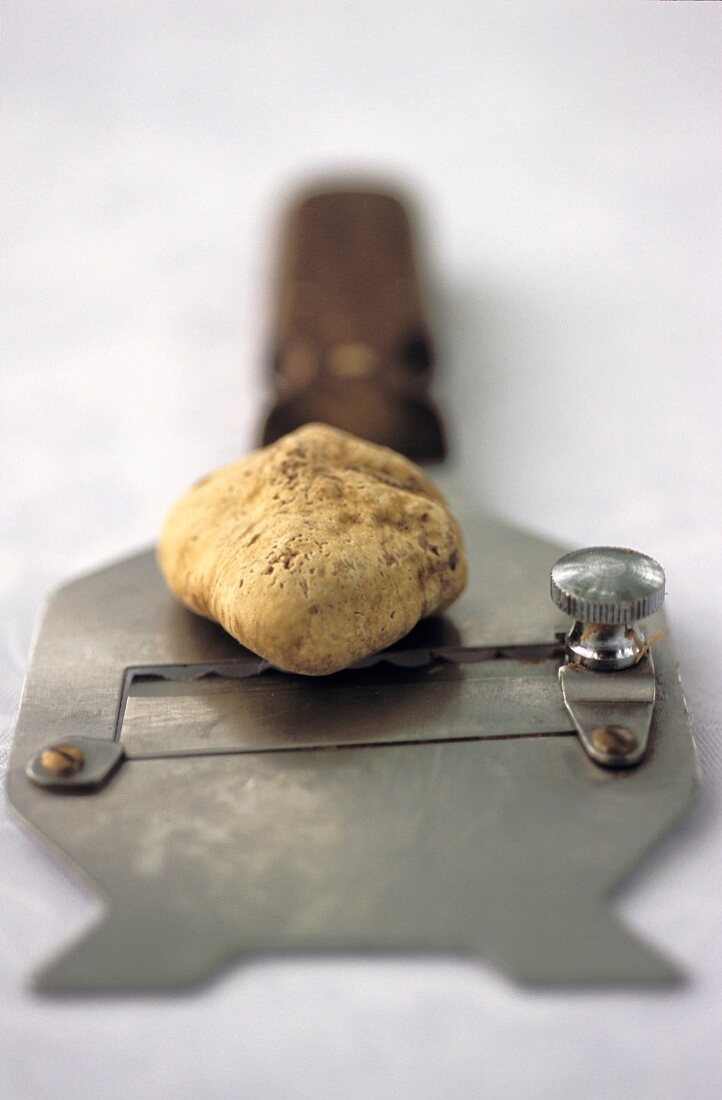 A white truffle and a truffle slicer