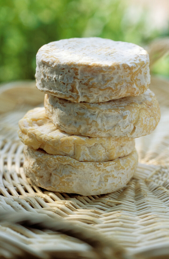 Mehrere Laibe Pélardon (französischer Weichkäse), gestapelt