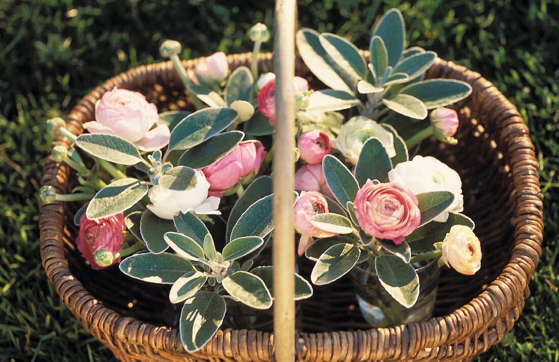 Buttercups and sage in small vases