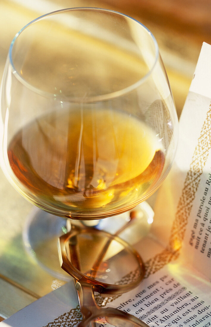 Glas Brandy mit Buch und Lesebrille