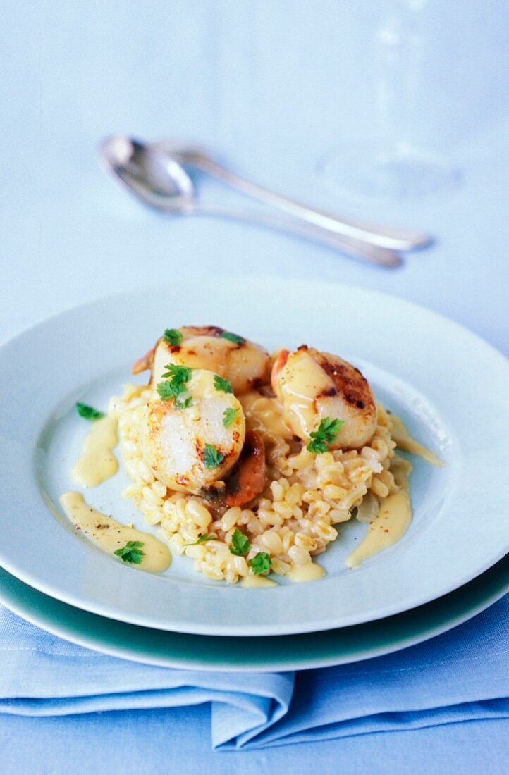 Jakobsmuscheln auf Weizen-Risotto mit Zitronenbutter