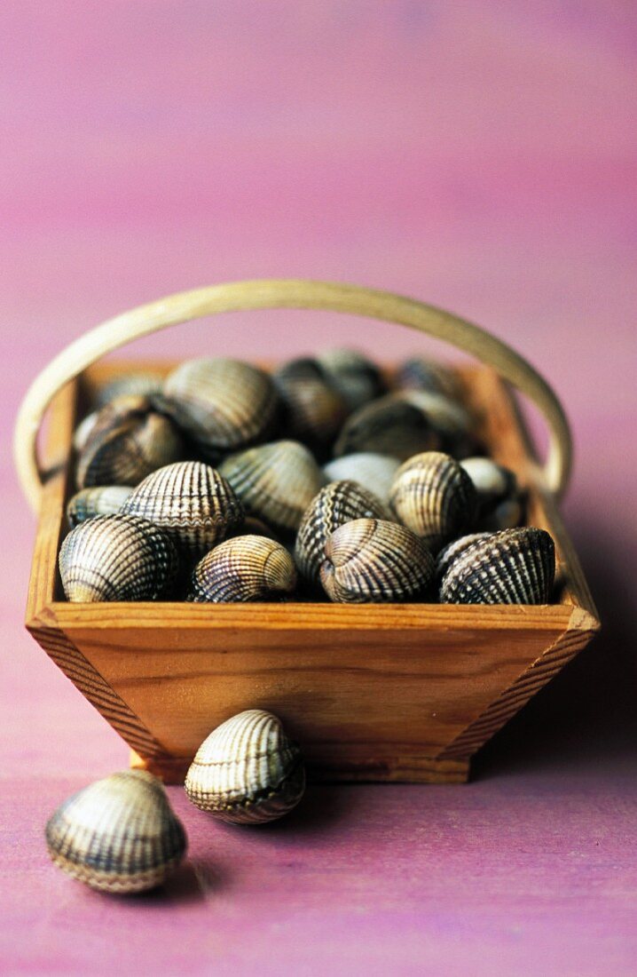 Basket of cockles (topic: cockles)