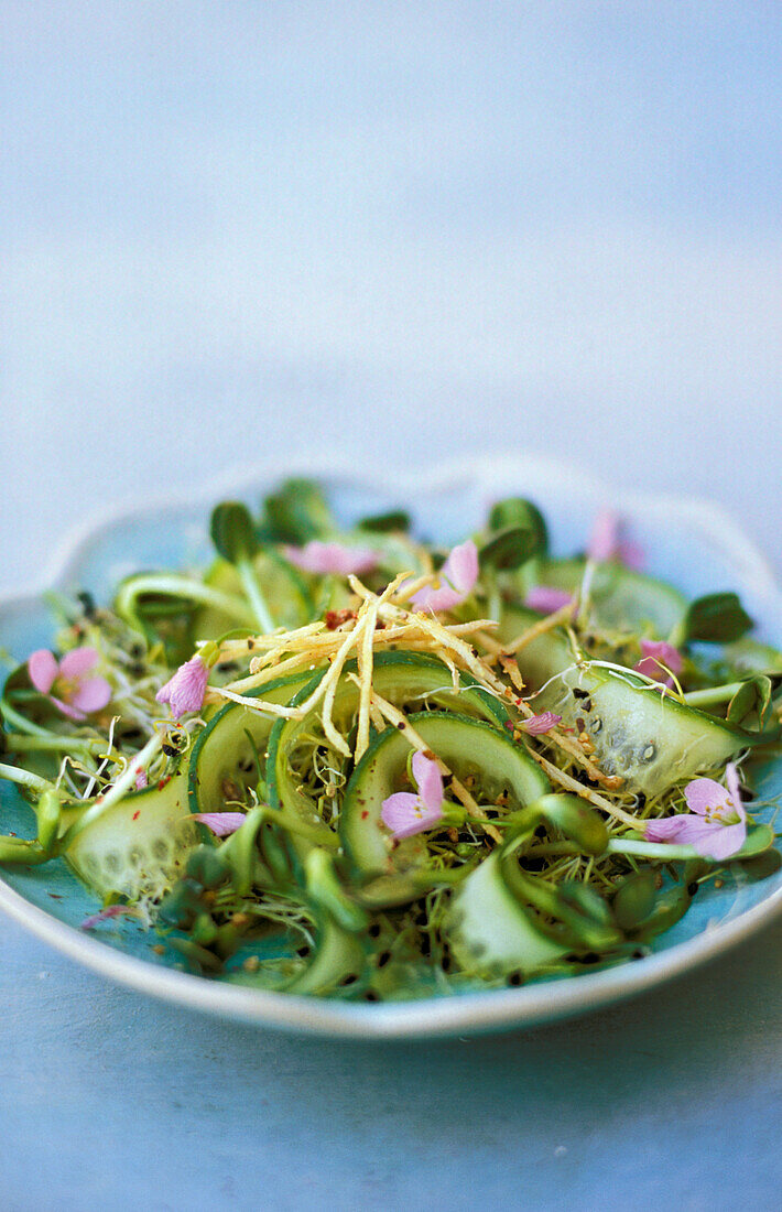 Sprossensalat mit Gurke und Blüten