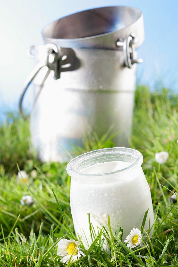 Milchkanne und Joghurt auf blühender Wiese