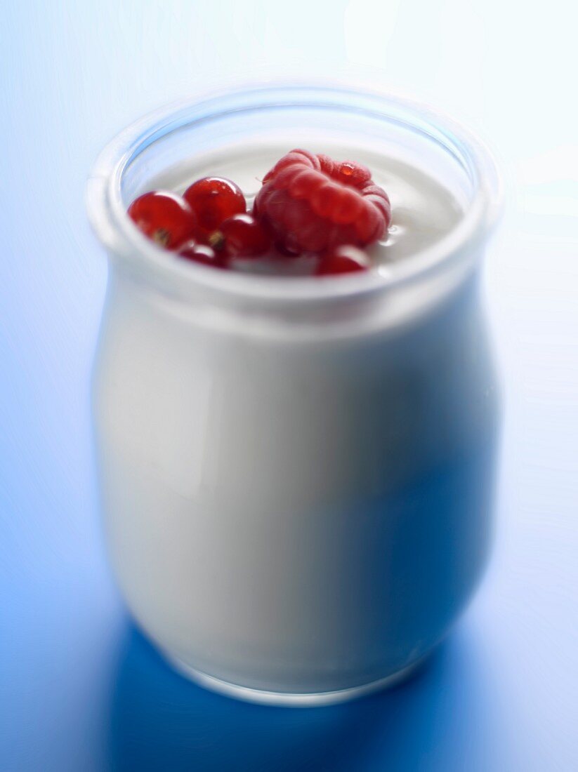 Joghurt im Glas mit frischen Beeren