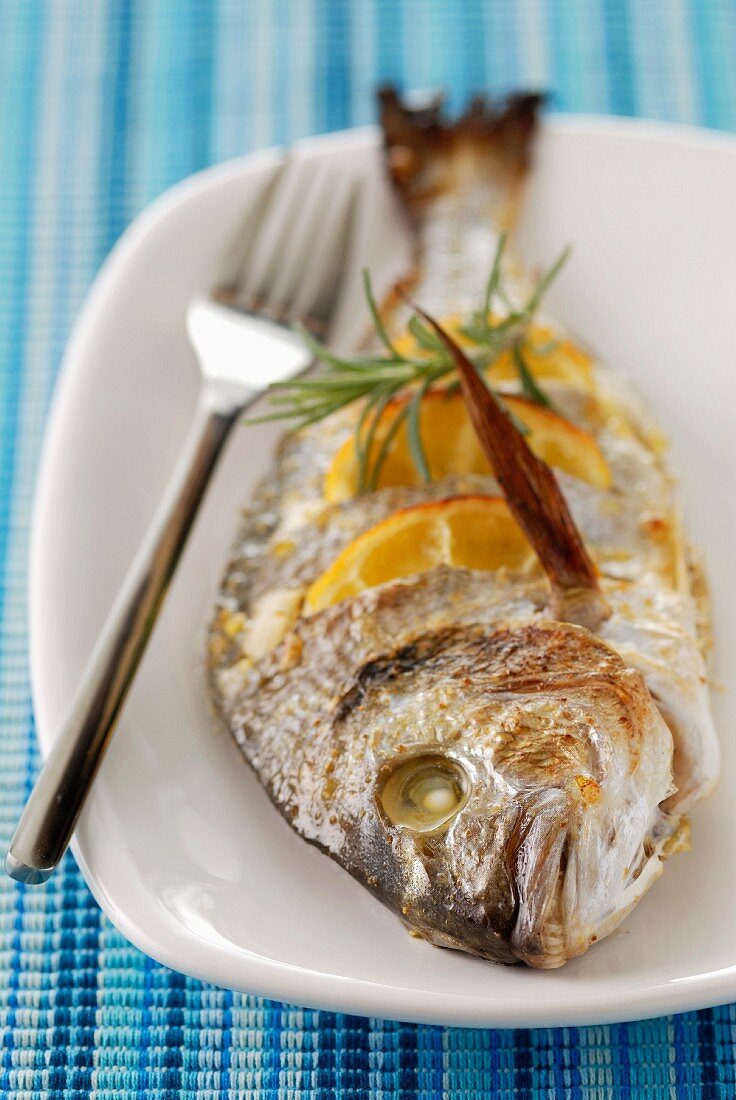 Dorade mit Orangenconfit