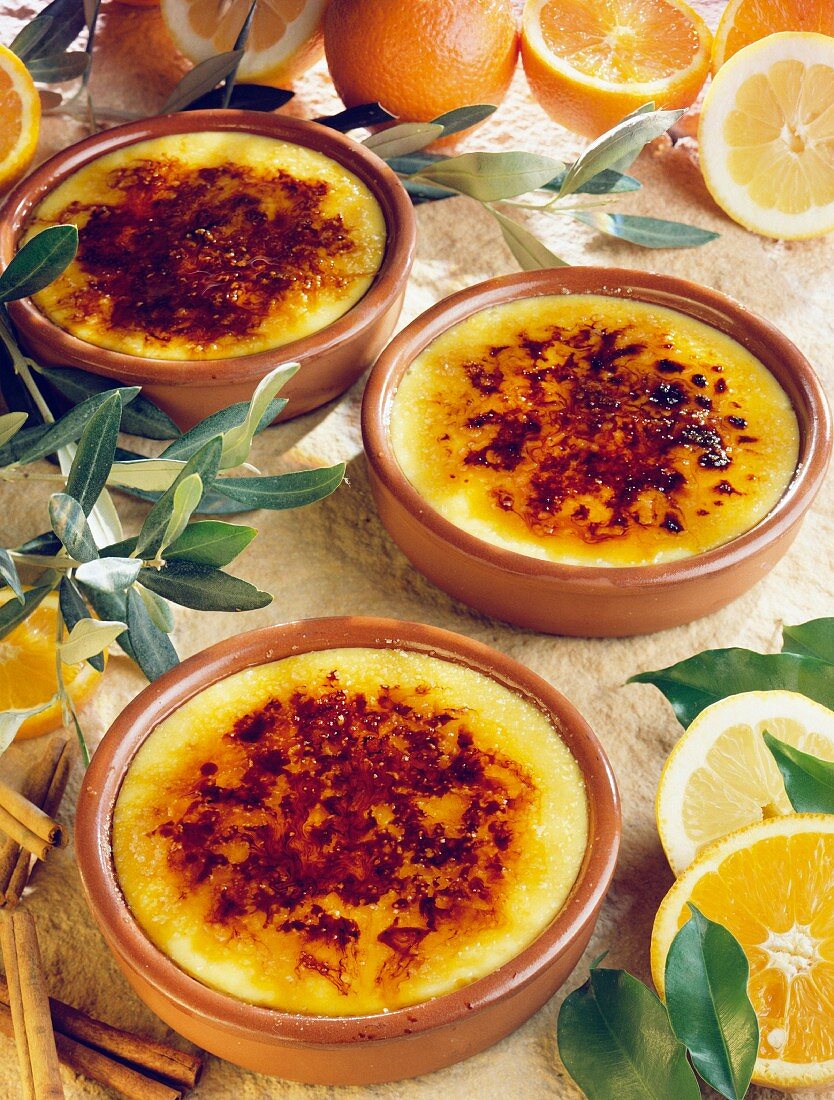 Katalanische Crème brûlée mit Zitrusfrüchten