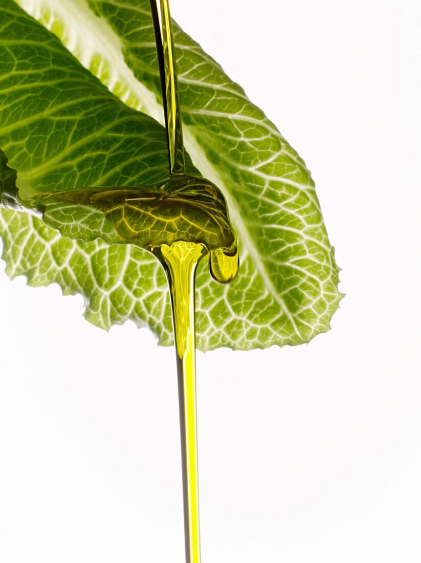 Olive oil dropping on a lettuce leaf