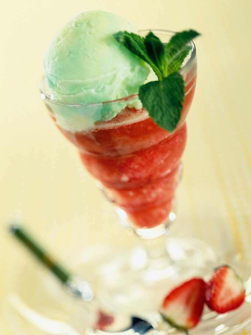 Peppermint sorbet on strawberry coulis