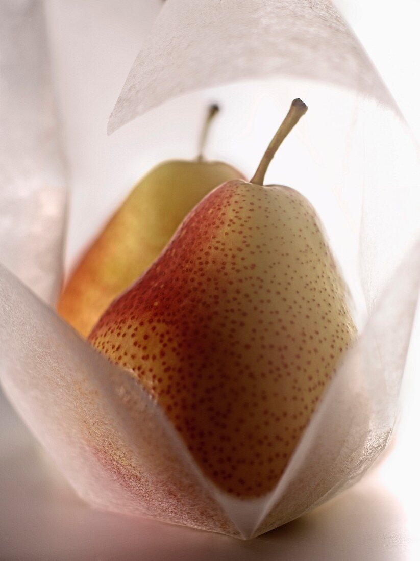 Birnen der Sorte Forelle auf Papier