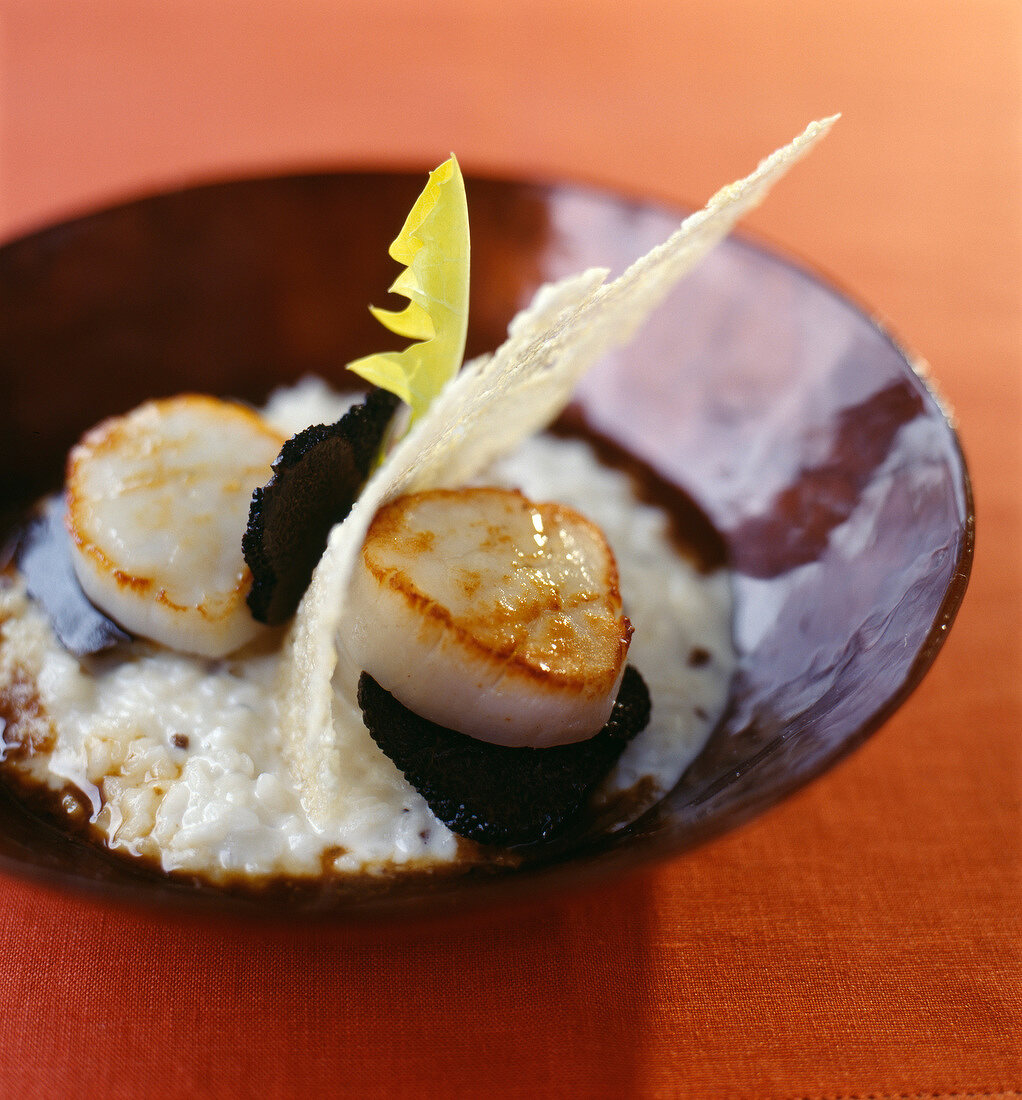 Scallops with truffles and parmesan tuile biscuit