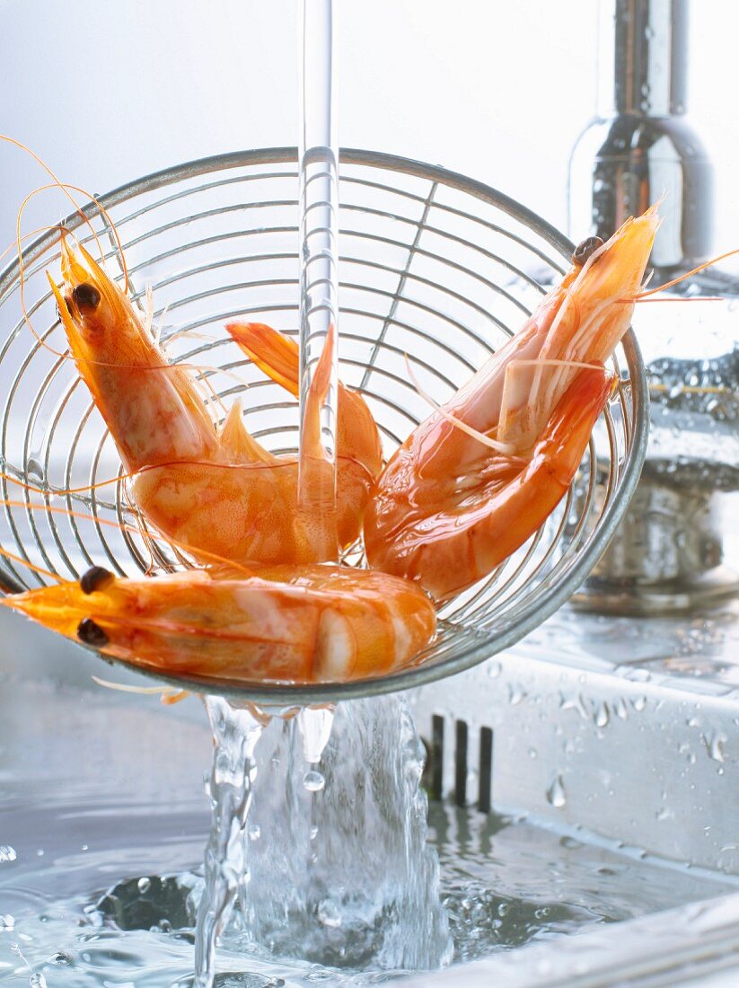 Rinsing shrimps in the sink