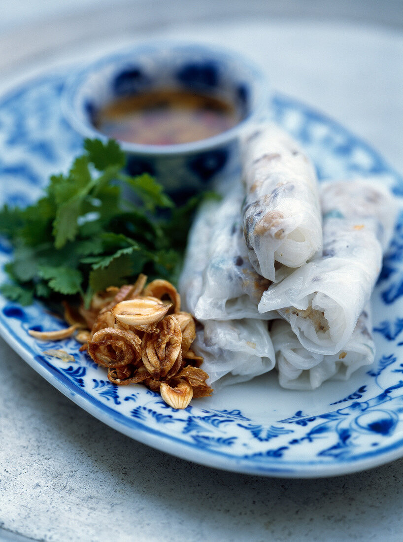 Rice cake rolls filled with roast pork and fried onions
