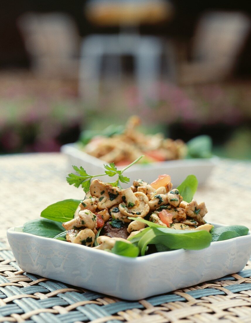 Pan-fried mousseron salad