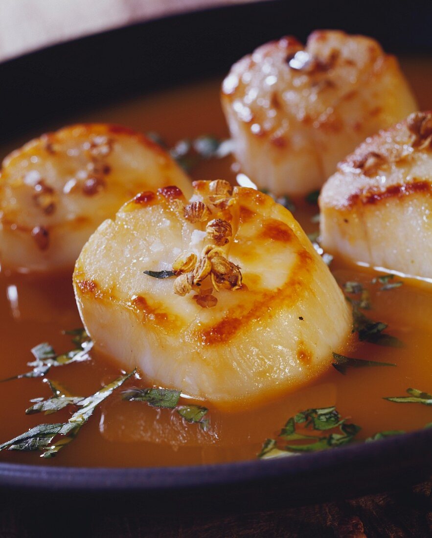 Roasted scallops in carrot and cilantro gravy