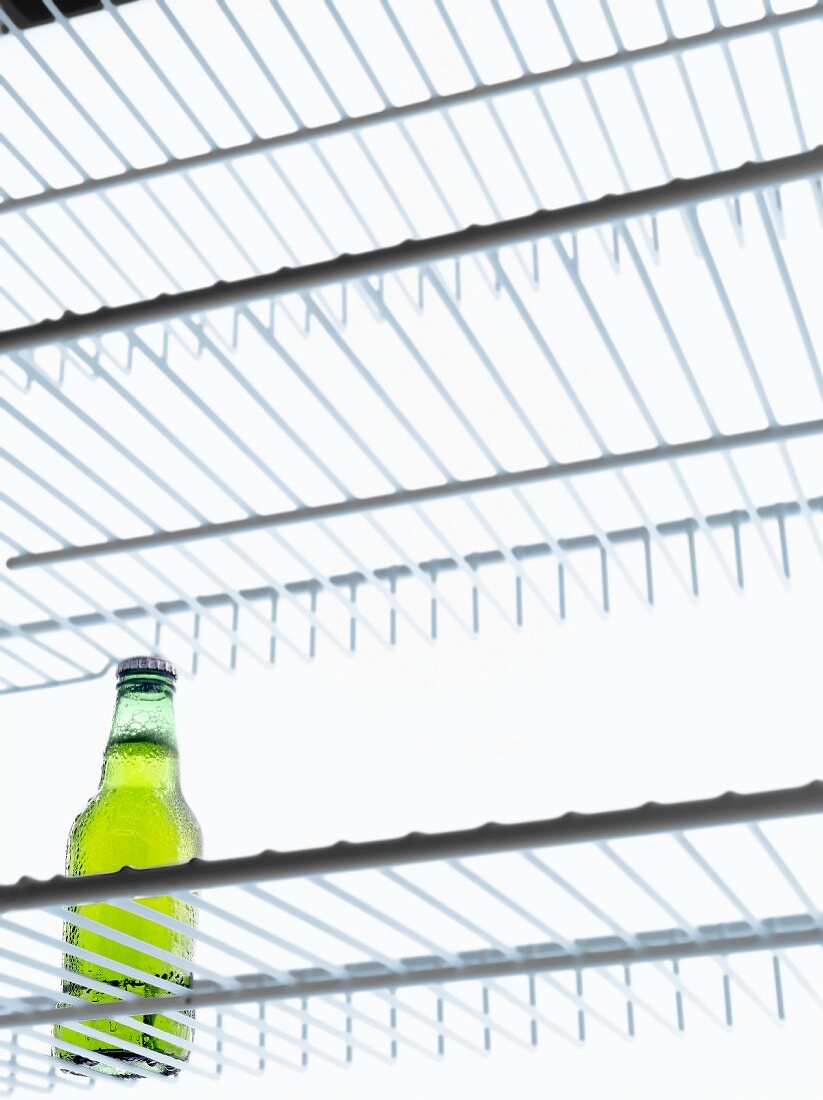 Bottle of beer in the refrigerator