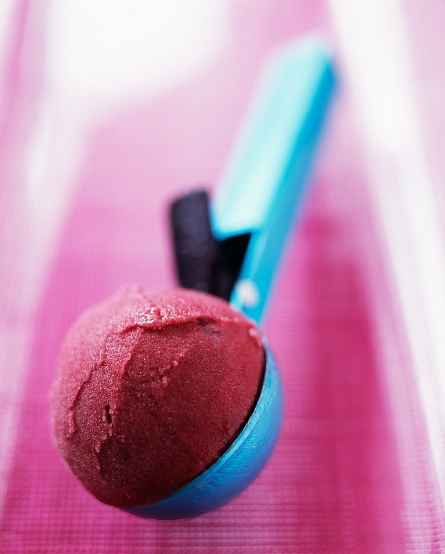 A scoop of raspberry sorbet on an ice cream scoop