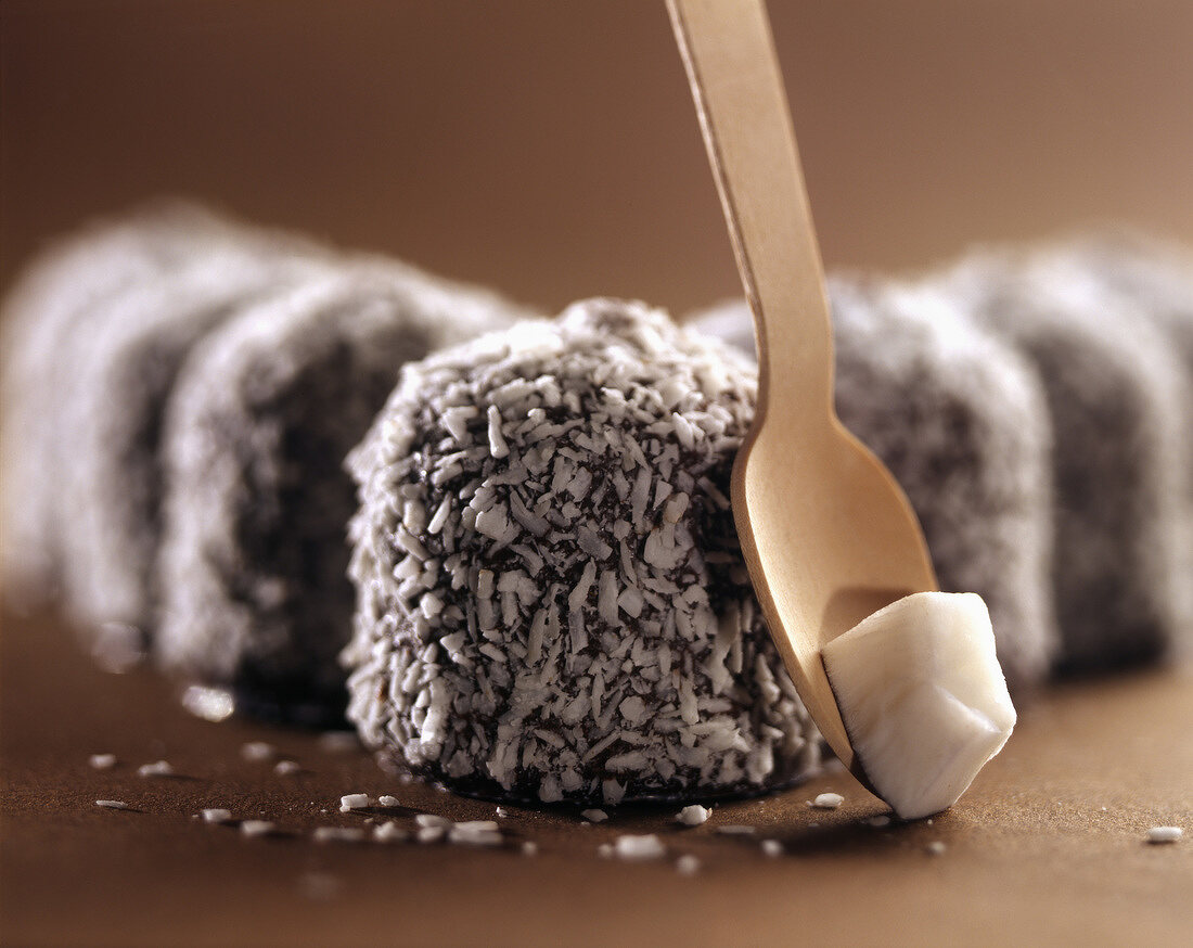 Chocolate and coconut cakes