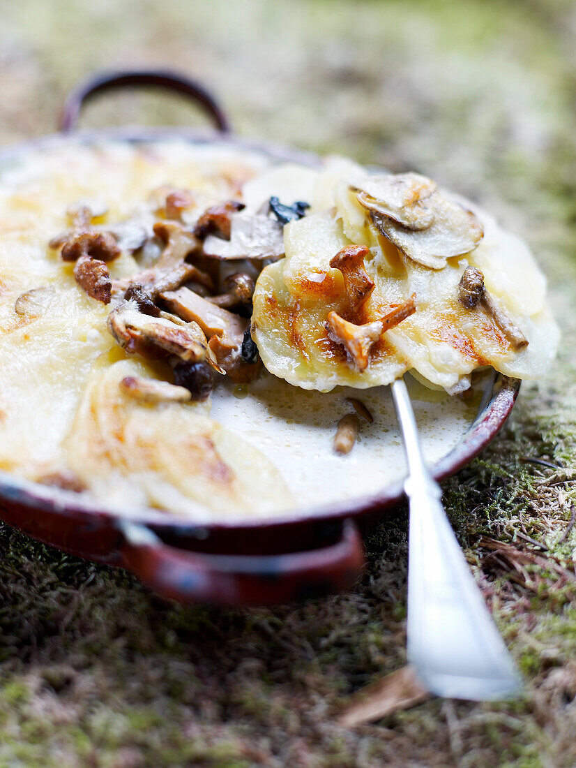 Mushroom Gratin Dauphinois