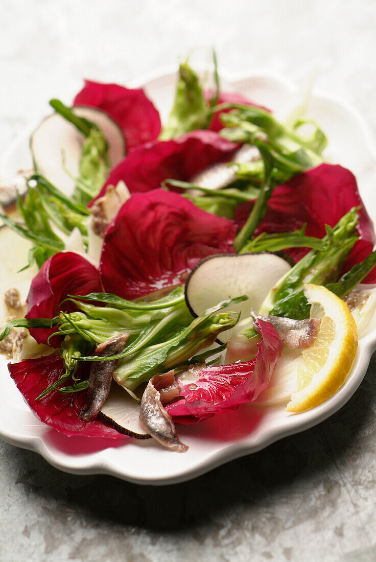 Puntarella mit Rettich und Radicchio