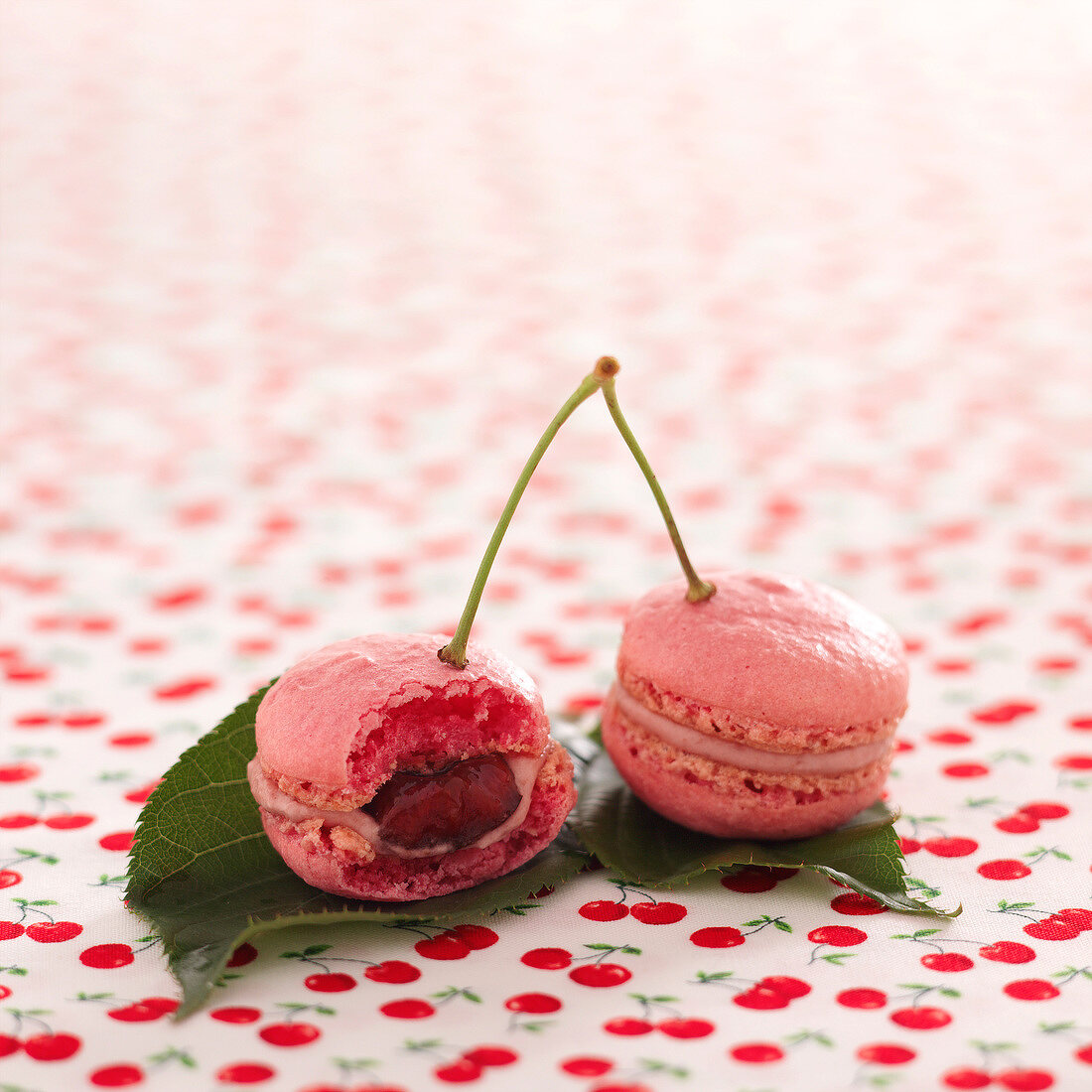 Sour griotte cherry and cinnamon macaroons