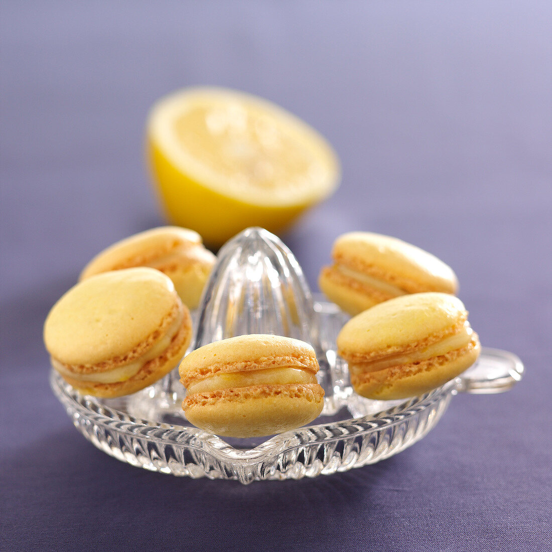 Zitronen-Macarons