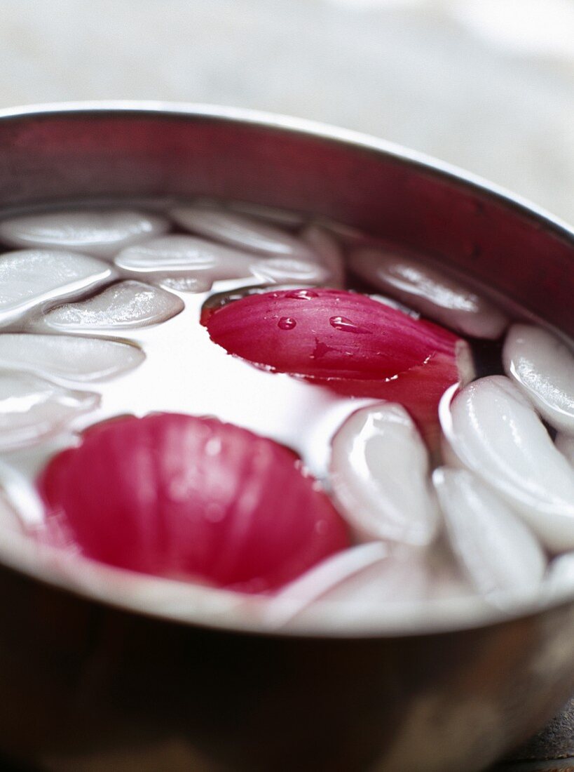 Zwiebel in einem Topf mit Eiswasser