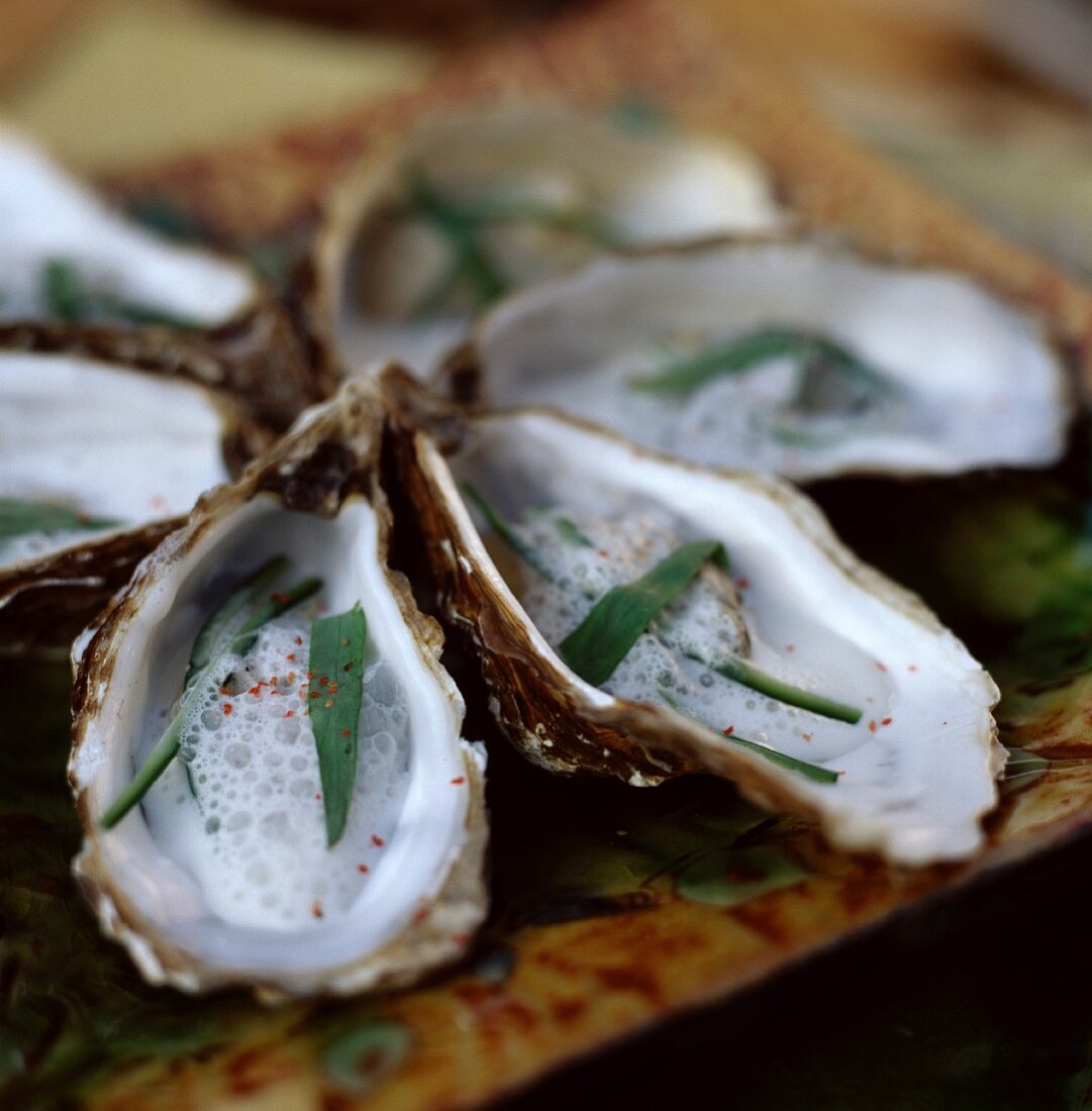 Austern mit Estragon-Emulsion