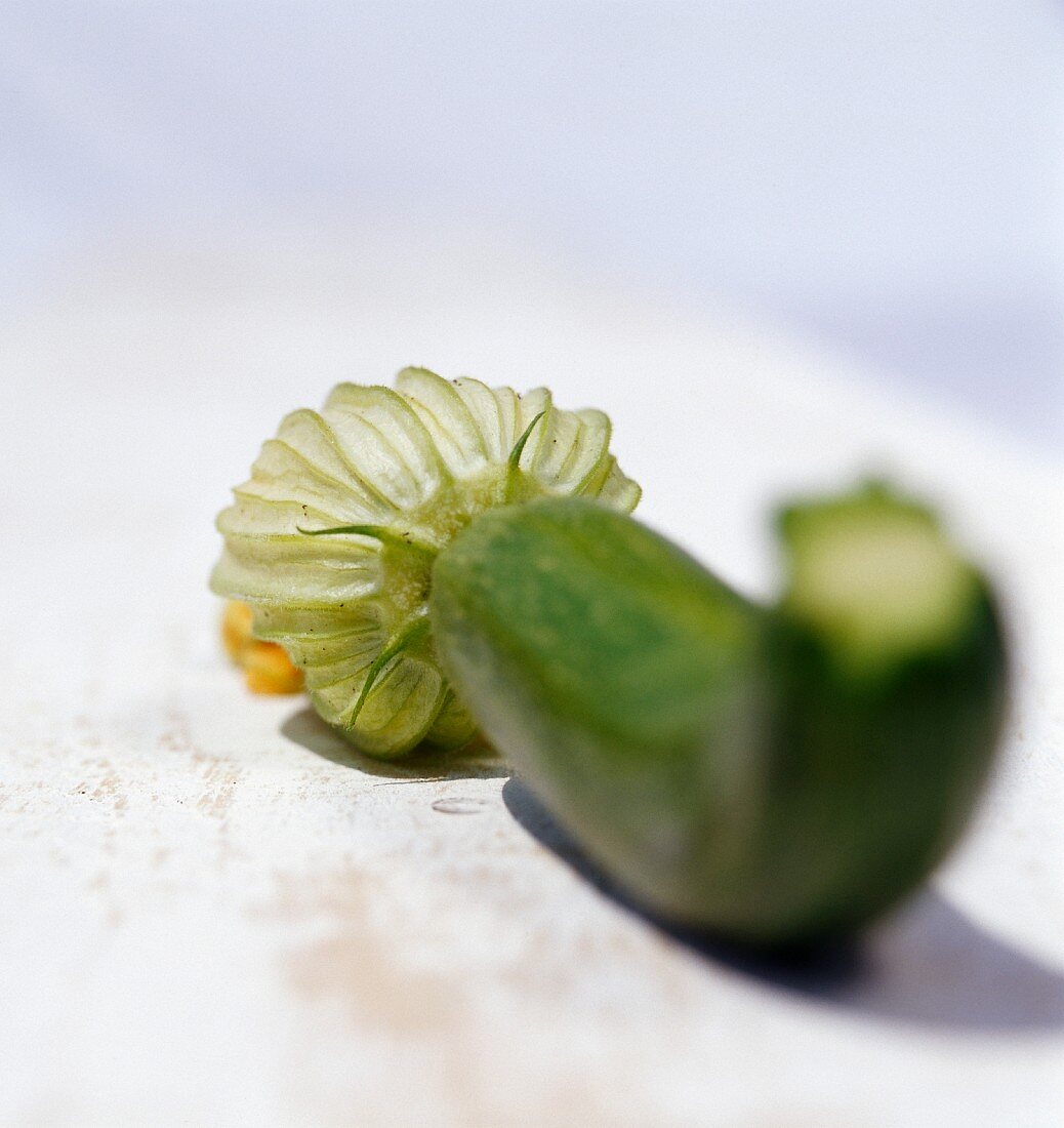 Eine Zucchini mit Blüte