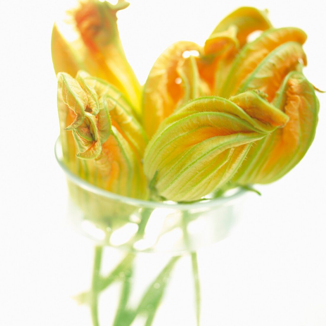 Courgette flowers in a glass of water