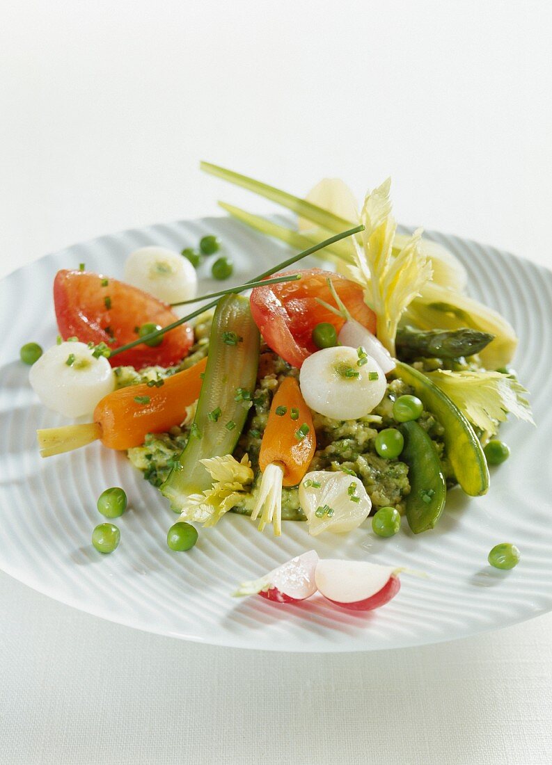 Salat mit jungem Gemüse auf Zucchinipüree mit Knoblauch
