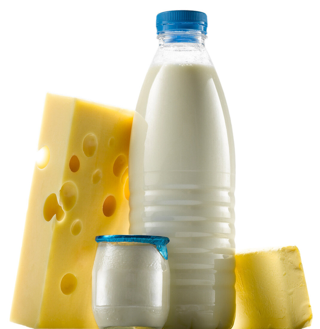 Stillleben mit Milchprodukten: Milch, Joghurt, Käse und Butter