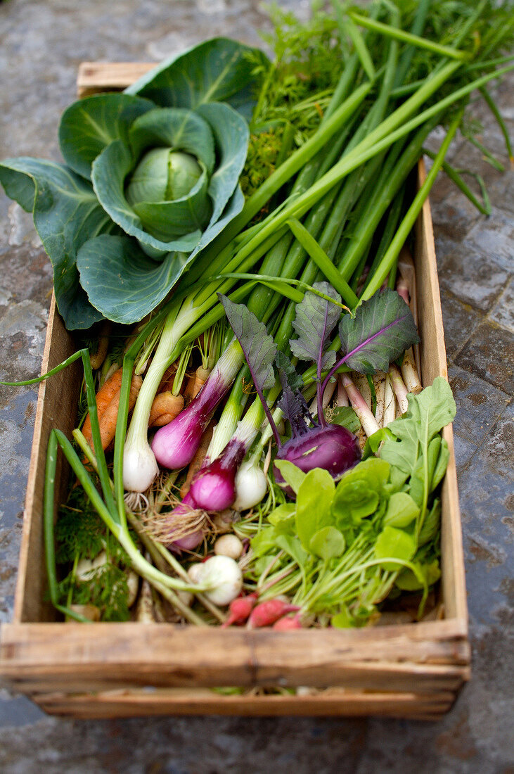 Crate of garden vegetables
