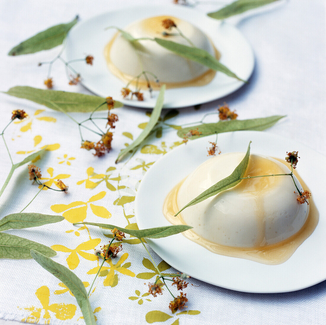 Panna cotta with lime blossom and honey sauce