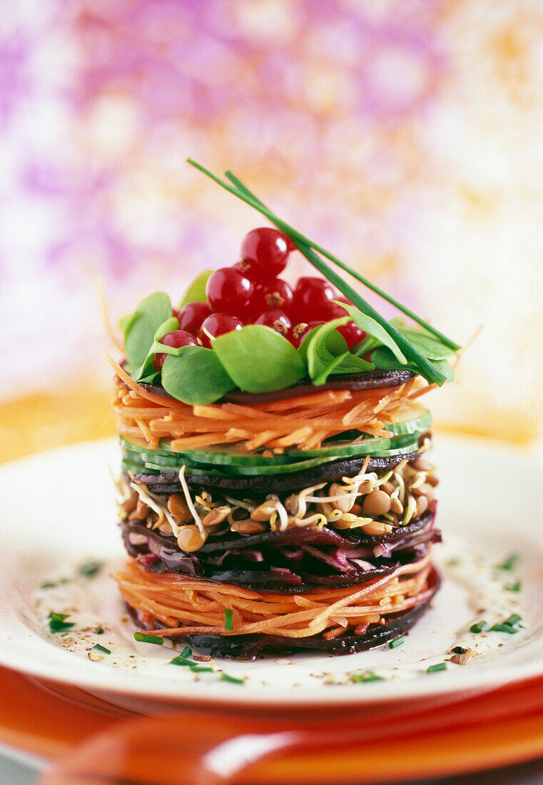 Raw vegetable Mille-feuille