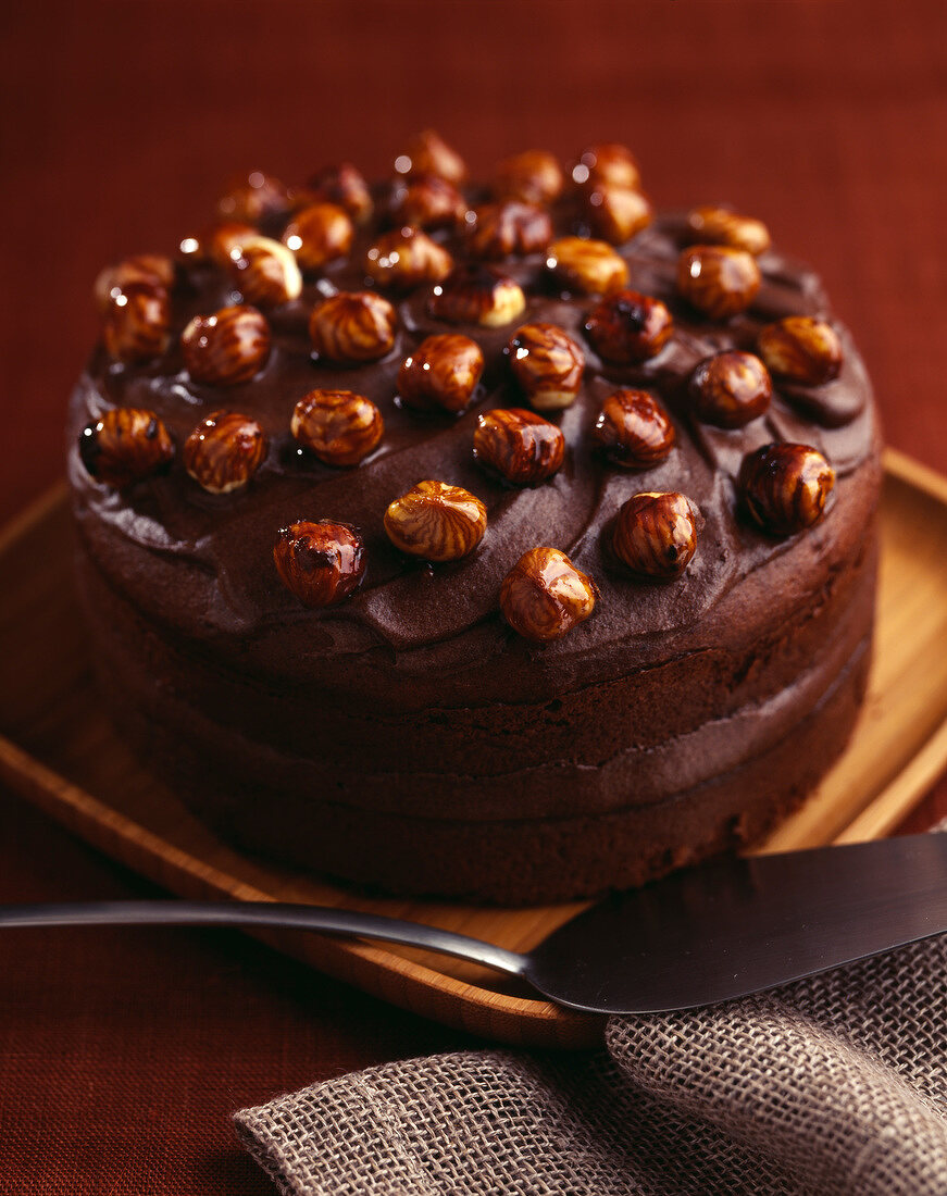 Chocolate and hazelnut cake