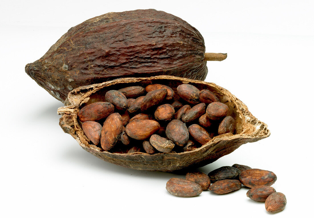 Open cocoa bean