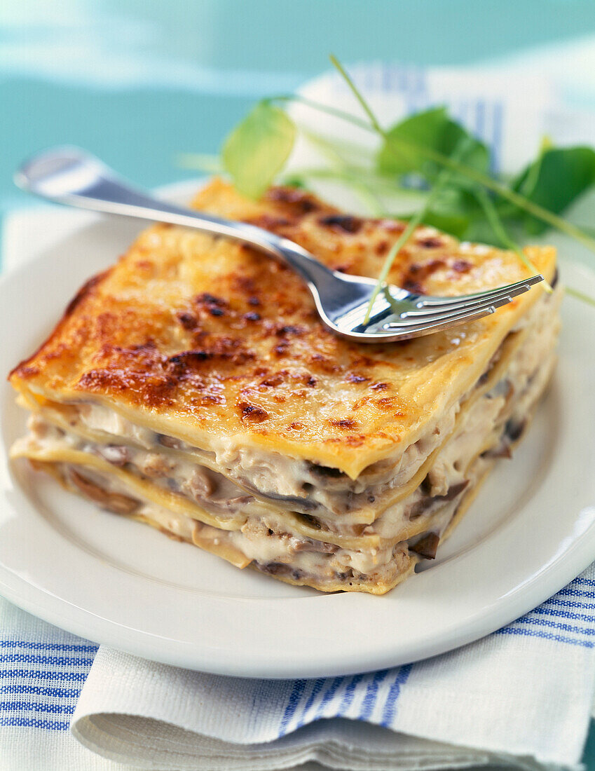 Chicken lasagnes