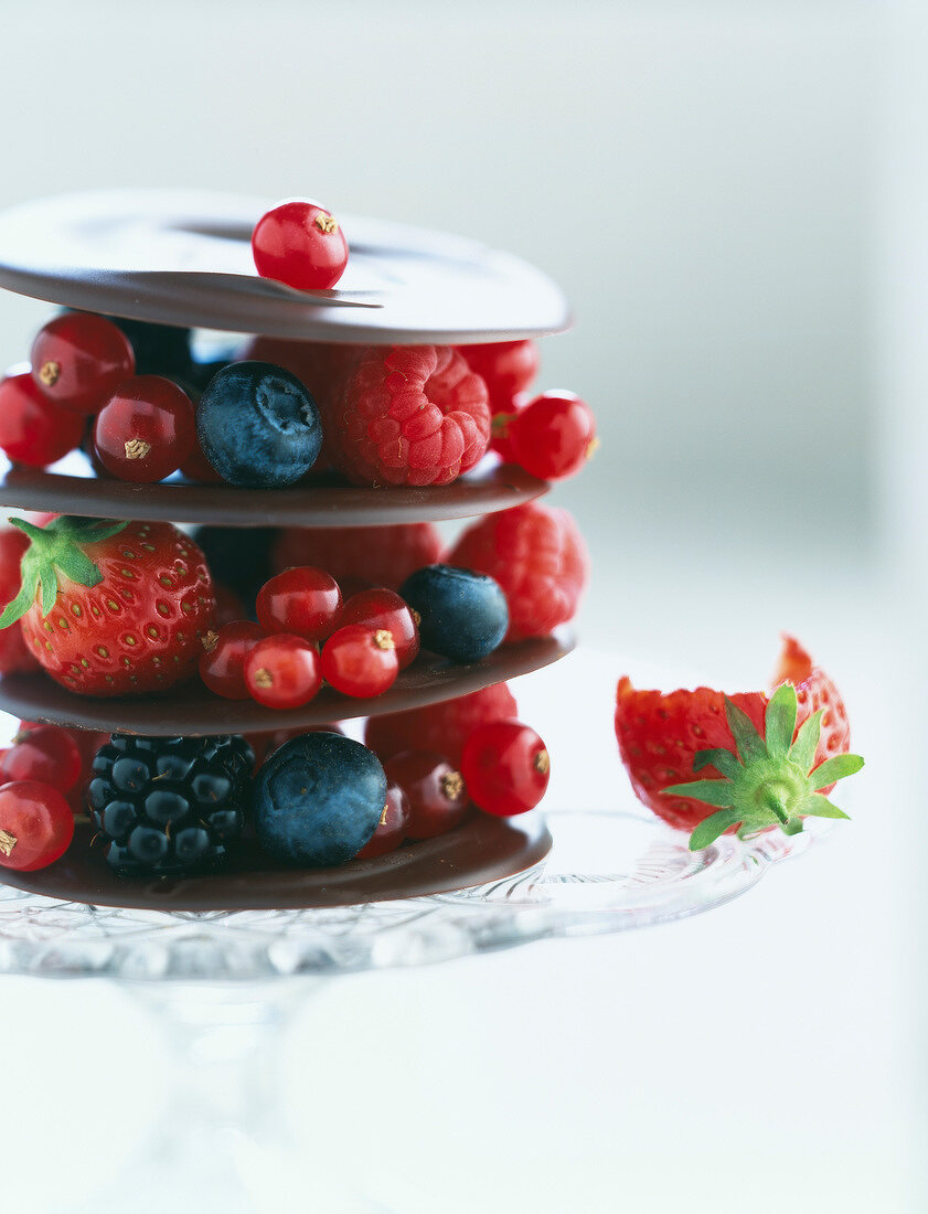 Chocolate discs and summer fruit mille-feuille