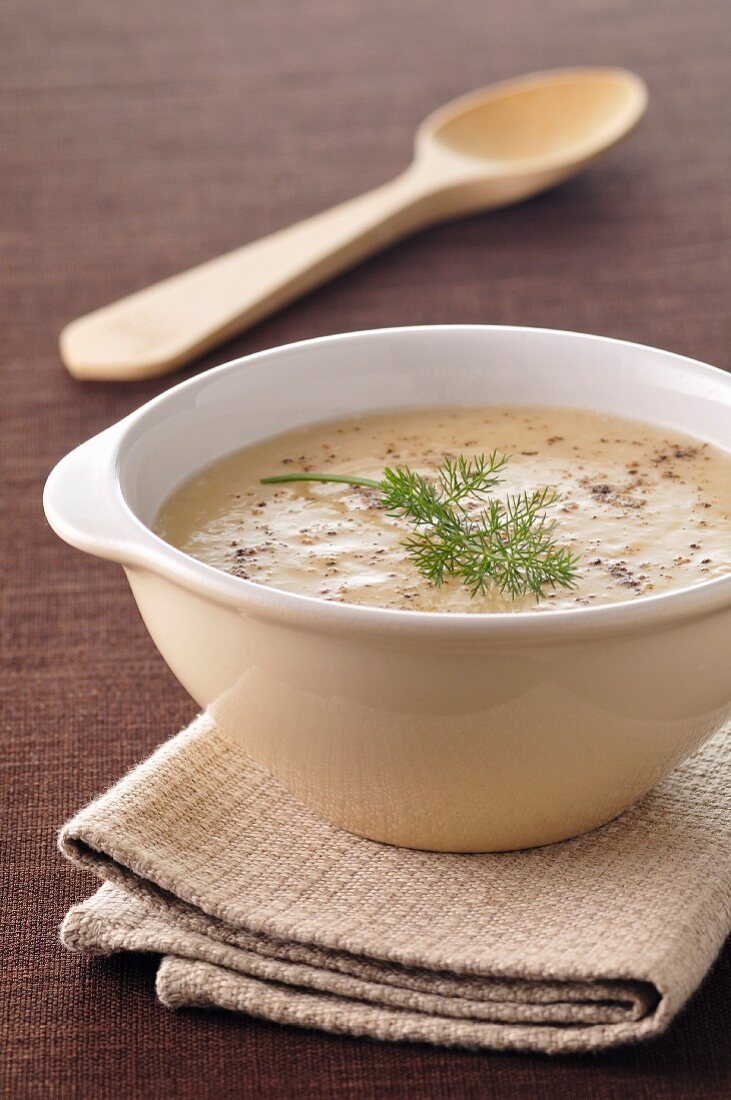 Cream of fennel soup