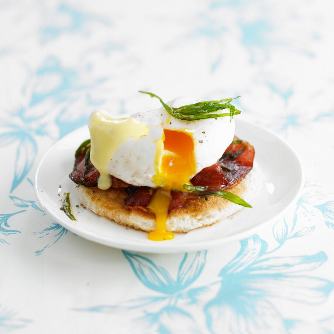 Eier Benedict Toast