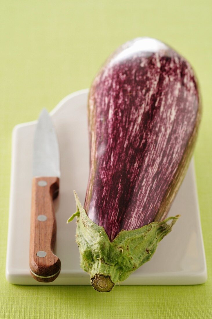 Violette Aubergine