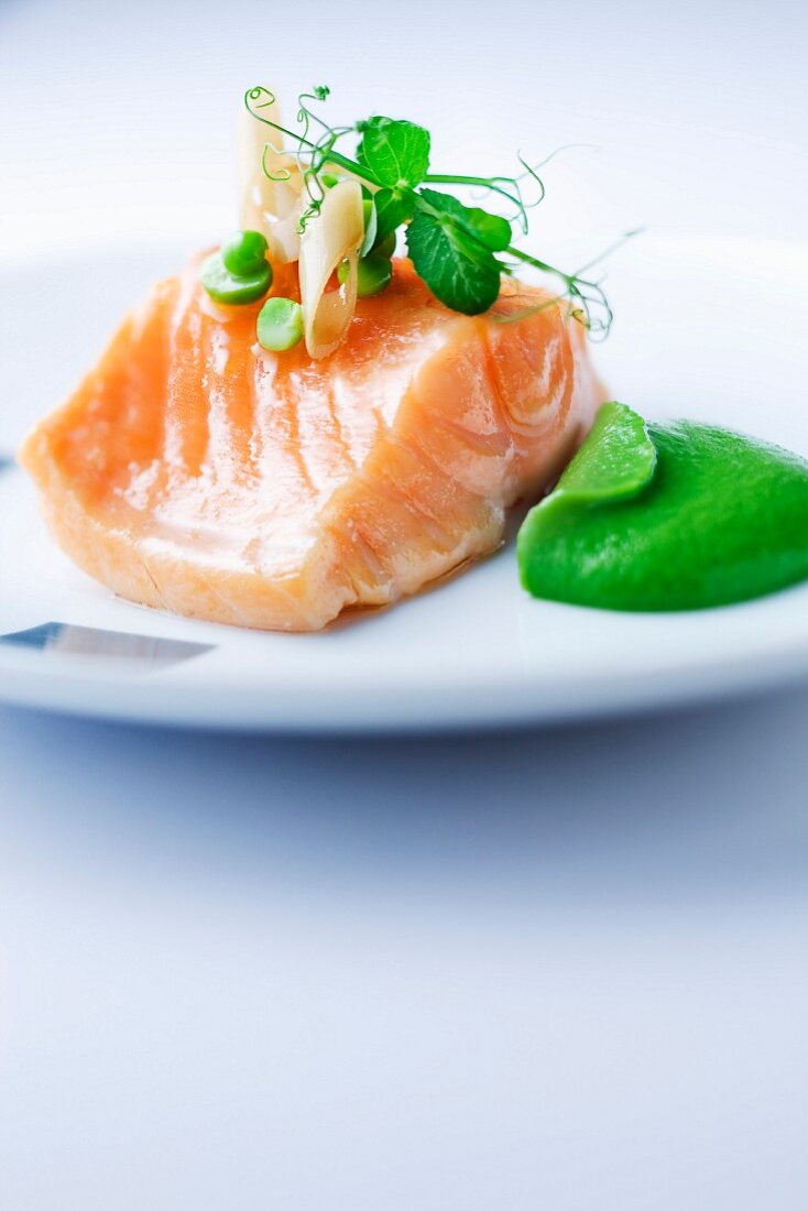 Steam-cooked salmon with green puree