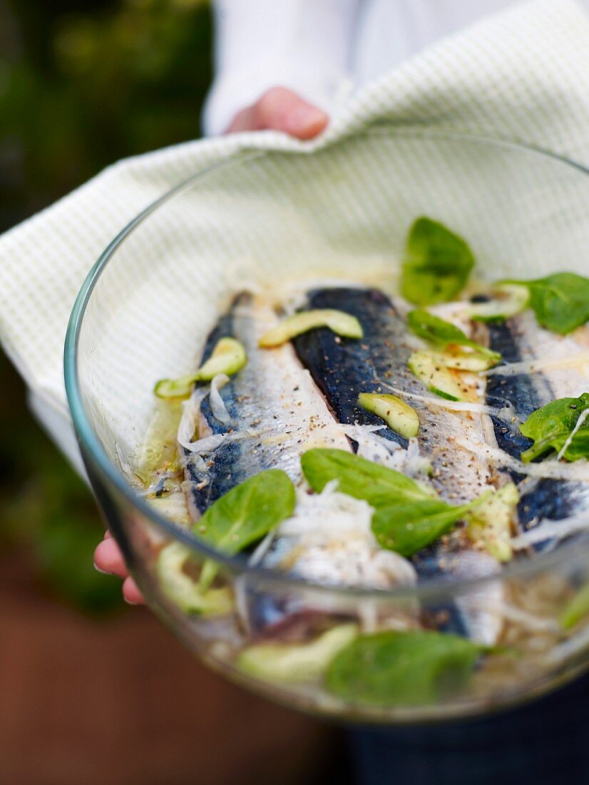 Japanese-style grilled mackerels