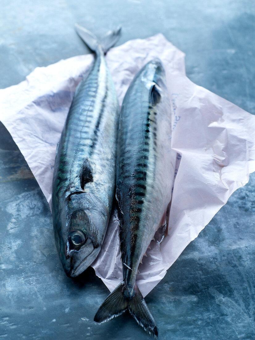 Two raw mackerels