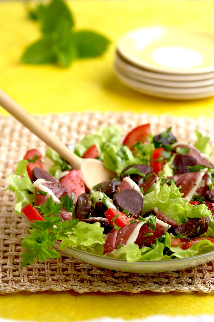 Salade landaise (Salat mit Entenbrust und -stopfleber, Frankreich)