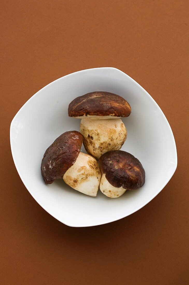 Bowl of ceps