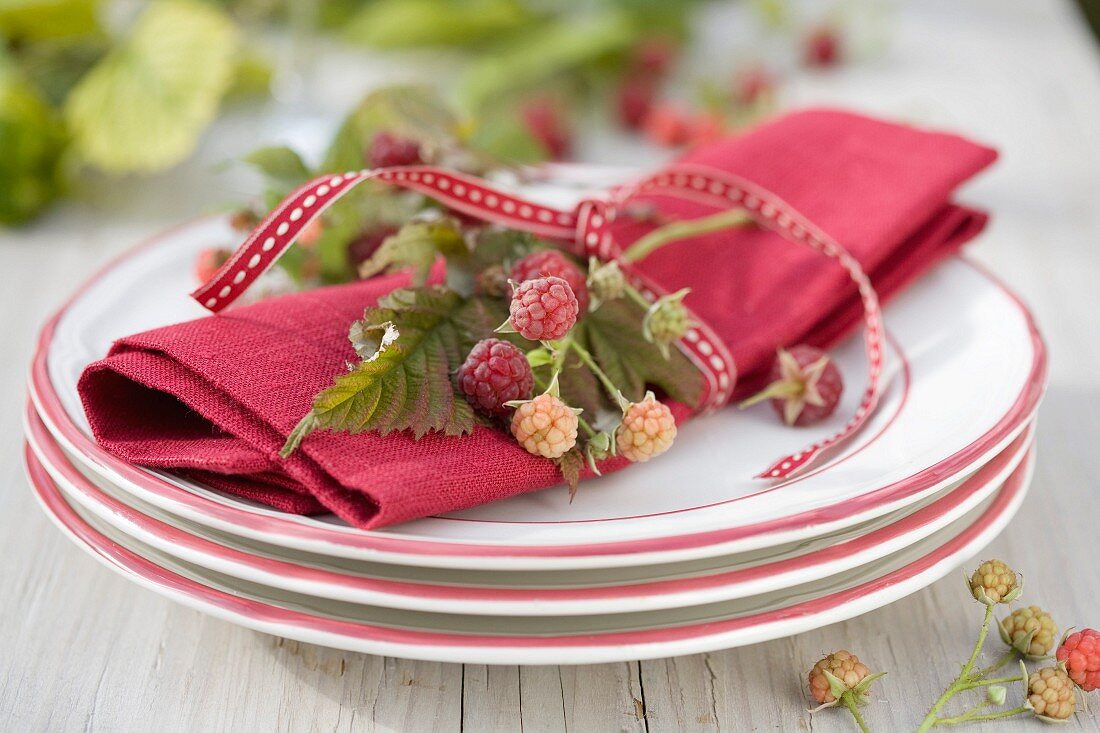 Napkin ring made with small raspberry branches