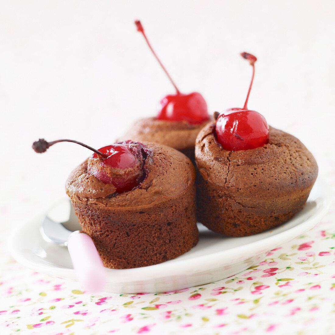 Individual chocolate and Amarena cherry soft cakes